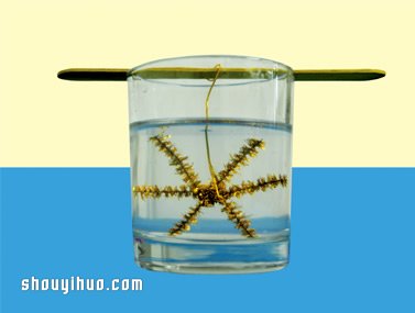 化学小实验：用硼砂让雪花提前降临 -  www.shouyihuo.com