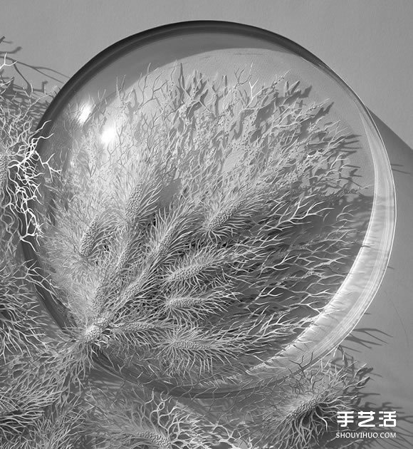 以细菌、结晶等为灵感创作的立体纸雕作品 -  www.shouyihuo.com
