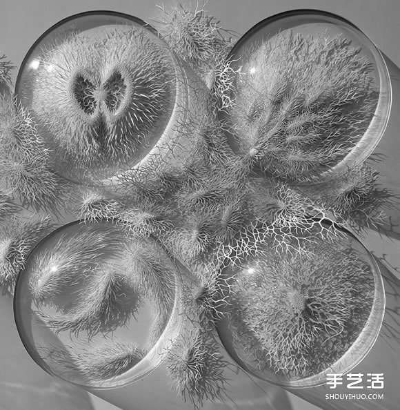 以细菌、结晶等为灵感创作的立体纸雕作品 -  www.shouyihuo.com