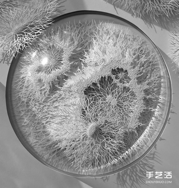以细菌、结晶等为灵感创作的立体纸雕作品 -  www.shouyihuo.com