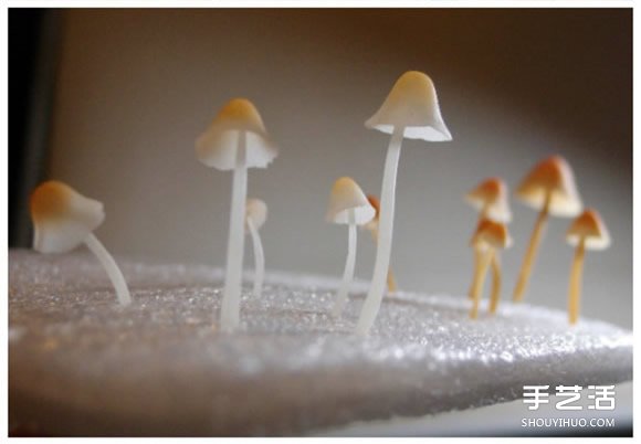 超轻粘土蘑菇手工制作教程 几可以假乱真啦！ -  www.shouyihuo.com