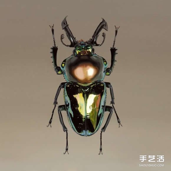超越摄影的超现实动物画 让你重新认识绘画魅力 -  www.shouyihuo.com