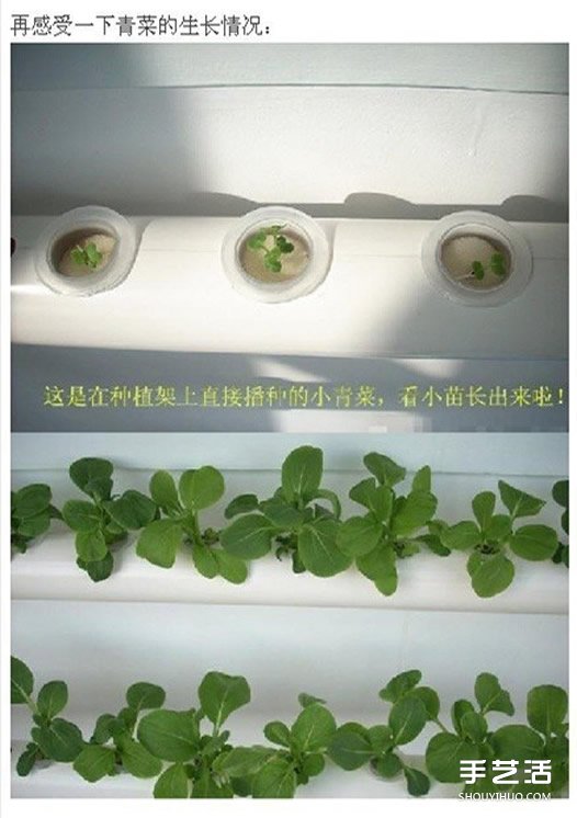 PVC管种菜设计图 利用PVC管阳台种菜的方法 -  www.shouyihuo.com