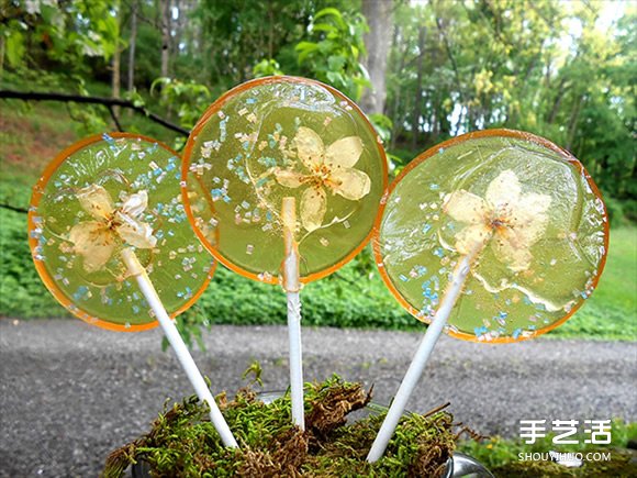把花瓣藏进棒棒糖里 赏心悦目的花朵甜点DIY -  www.shouyihuo.com