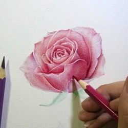 彩铅画教程 彩色铅笔画图片大全 手艺活网 彩铅画教程 彩色铅笔画图片大全 手艺活网
