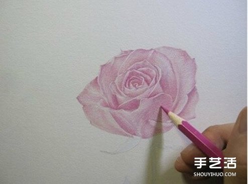 彩铅玫瑰花的画法步骤 玫瑰花彩色铅笔画教程 - www.shouyihuo.com