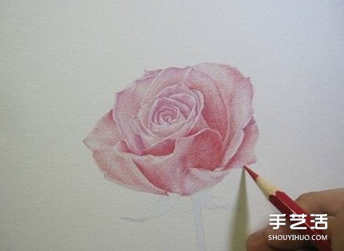 彩铅玫瑰花的画法步骤 玫瑰花彩色铅笔画教程 - www.shouyihuo.com