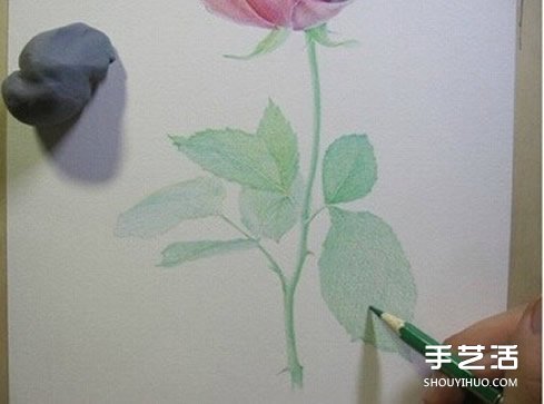 彩铅玫瑰花的画法步骤 玫瑰花彩色铅笔画教程 - www.shouyihuo.com