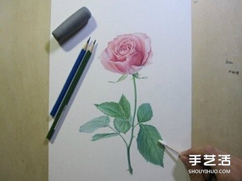 彩铅玫瑰花的画法步骤 玫瑰花彩色铅笔画教程 - www.shouyihuo.com