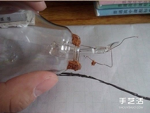 废灯泡创意DIY 制作迷你多肉植物盆景的教程 -  www.shouyihuo.com