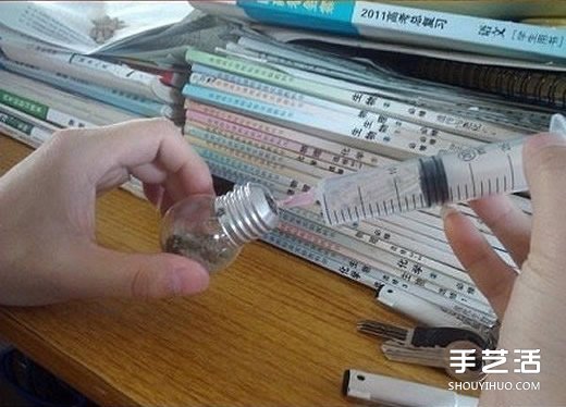 废灯泡创意DIY 制作迷你多肉植物盆景的教程 -  www.shouyihuo.com