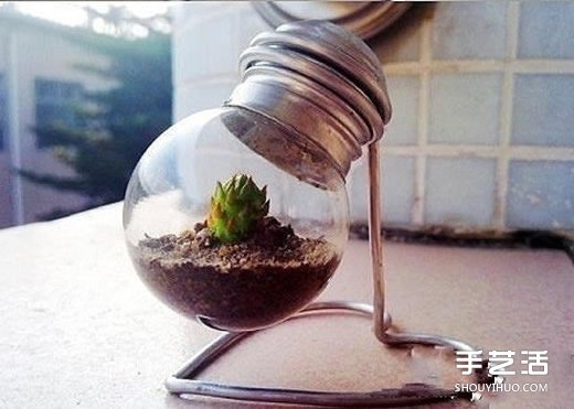 废灯泡创意DIY 制作迷你多肉植物盆景的教程 -  www.shouyihuo.com
