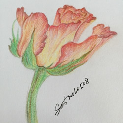 彩铅画教程 彩色铅笔画图片大全 手艺活网 彩铅画教程 彩色铅笔画图片大全 手艺活网