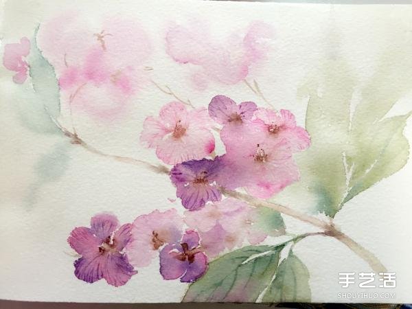 水彩画画花的步骤图片 花朵水彩画的技法教程 -  www.shouyihuo.com