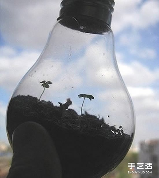 废旧灯泡制作花盆 DIY迷你盆景的方法步骤 -  www.shouyihuo.com