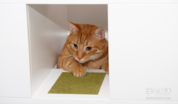真正考虑到猫儿需求的躲猫猫小乐园产品设计 -  www.shouyihuo.com