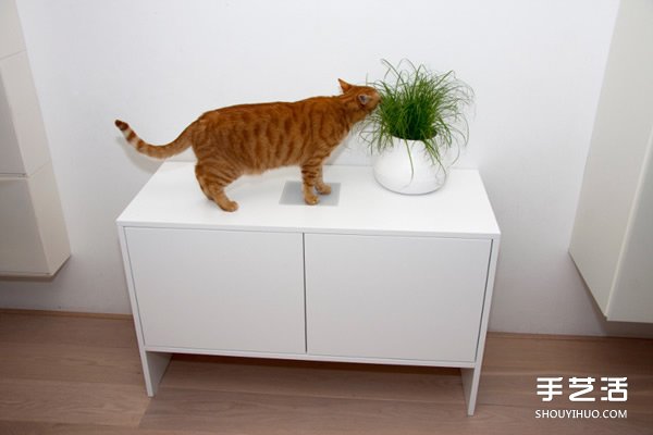 真正考虑到猫儿需求的躲猫猫小乐园产品设计 -  www.shouyihuo.com