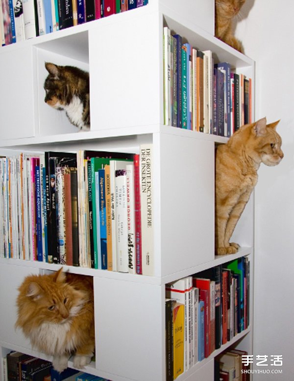 真正考虑到猫儿需求的躲猫猫小乐园产品设计 -  www.shouyihuo.com