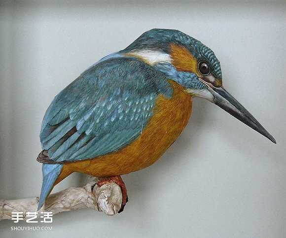 精细入微的纸鸟模型 大师级鸟类纸模型图片 -  www.shouyihuo.com