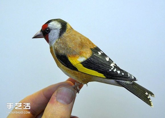 精细入微的纸鸟模型 大师级鸟类纸模型图片 -  www.shouyihuo.com