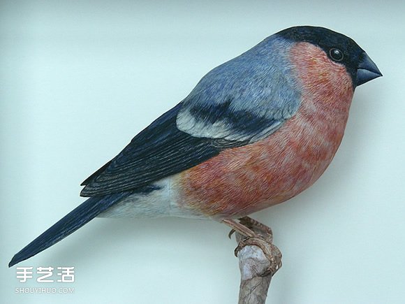 精细入微的纸鸟模型 大师级鸟类纸模型图片 -  www.shouyihuo.com