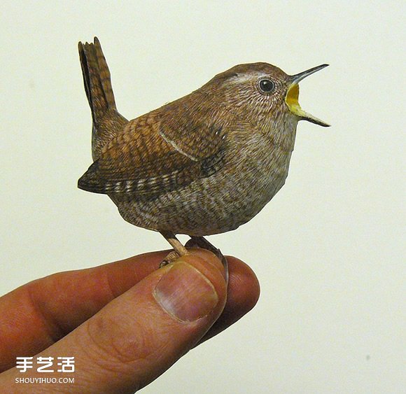 精细入微的纸鸟模型 大师级鸟类纸模型图片 -  www.shouyihuo.com