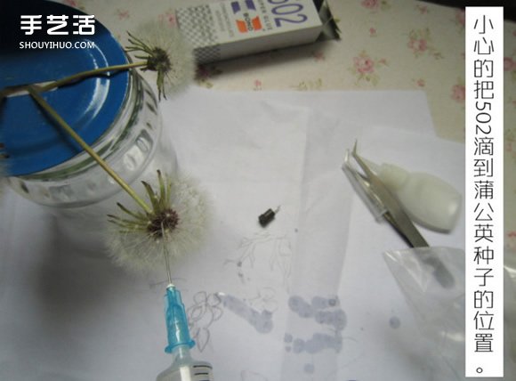 嵌花树脂蒲公英制作教程 蒲公英树脂标本DIY -  www.shouyihuo.com