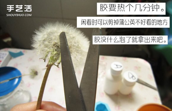 嵌花树脂蒲公英制作教程 蒲公英树脂标本DIY -  www.shouyihuo.com