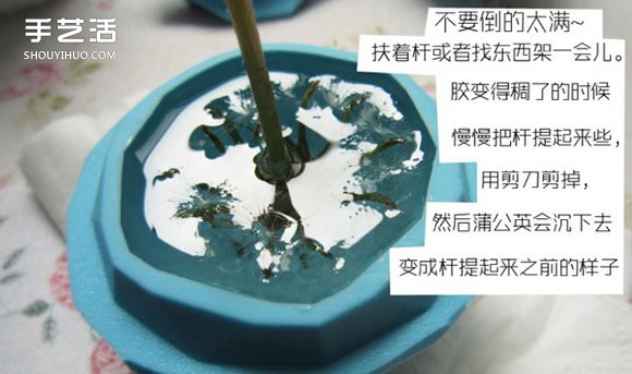 嵌花树脂蒲公英制作教程 蒲公英树脂标本DIY -  www.shouyihuo.com