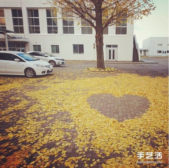 扫地也能很诗意 这么DIY让秋天落叶更浪漫！ -  www.shouyihuo.com