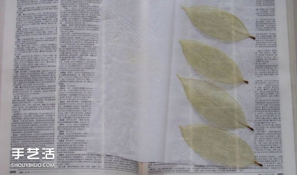 叶脉书签最简单的做法 自制叶脉书签的制作方法 -  www.shouyihuo.com