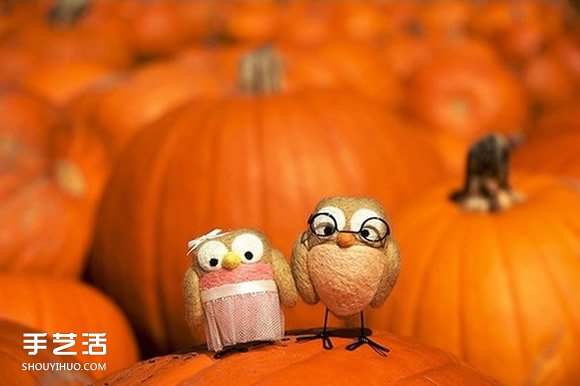 愤怒的小鸟手工制作图片 治愈系羊毛毡小鸟作品  -  www.shouyihuo.com