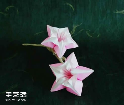 杨桃花怎么折图解教程 手工杨桃花折纸方法 -  www.shouyihuo.com