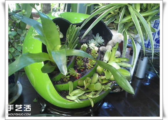 废品利用手工制作盆景 塑料废弃物DIY盆景教程 -  www.shouyihuo.com