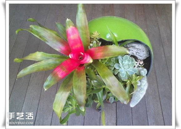 废品利用手工制作盆景 塑料废弃物DIY盆景教程 -  www.shouyihuo.com
