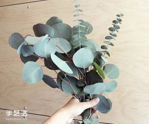 如何自制空气清新剂 纯天然空气清新剂DIY -  www.shouyihuo.com
