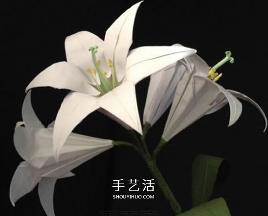 纸百合花的折法图解 折百合花的方法步骤 -  www.shouyihuo.com