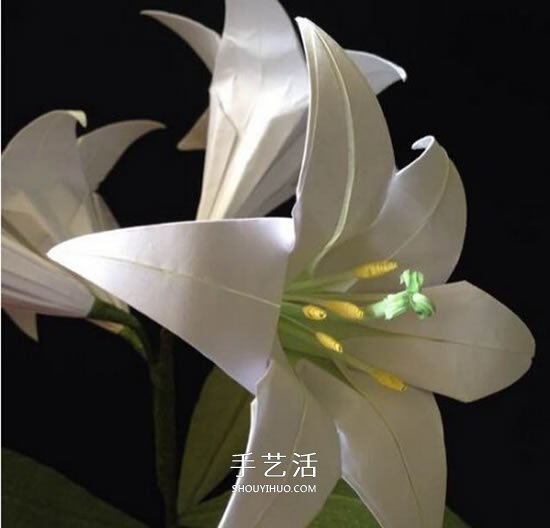 纸百合花的折法图解 折百合花的方法步骤 -  www.shouyihuo.com