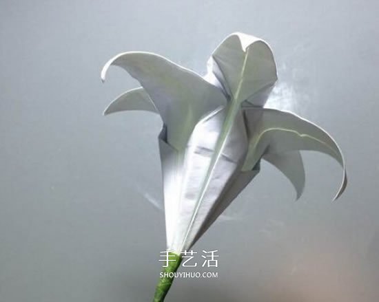 纸百合花的折法图解 折百合花的方法步骤 -  www.shouyihuo.com