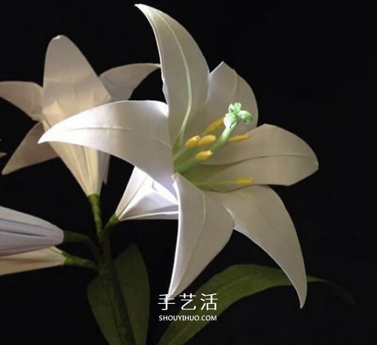 纸百合花的折法图解 折百合花的方法步骤 -  www.shouyihuo.com