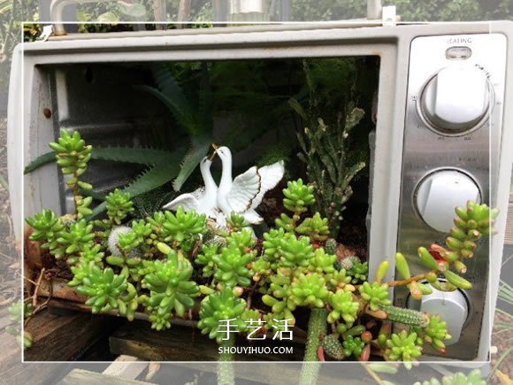 旧烤箱废物利用 改造成园艺盆景的小制作方法 -  www.shouyihuo.com