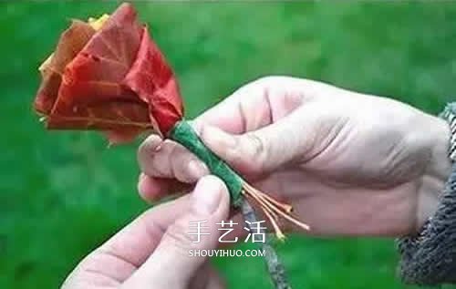 落叶制作玫瑰花图解 枫叶玫瑰花的做法步骤 -  www.shouyihuo.com