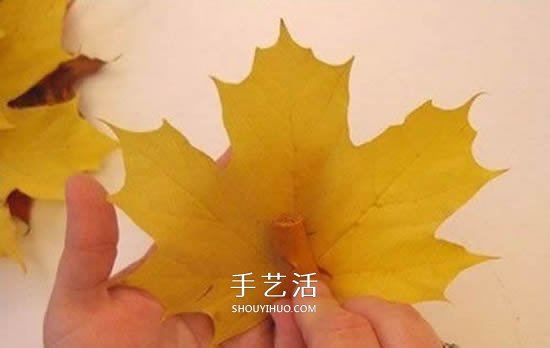 枫叶手工制作玫瑰花苞 树叶玫瑰花苞的做法 -  www.shouyihuo.com