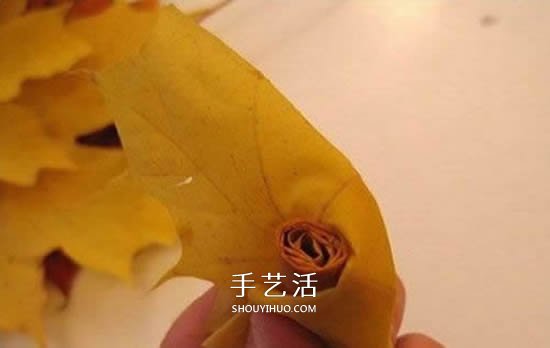 枫叶手工制作玫瑰花苞 树叶玫瑰花苞的做法 -  www.shouyihuo.com