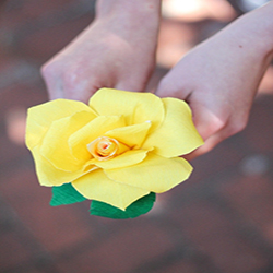 4-1F9302131060-L.jpg
