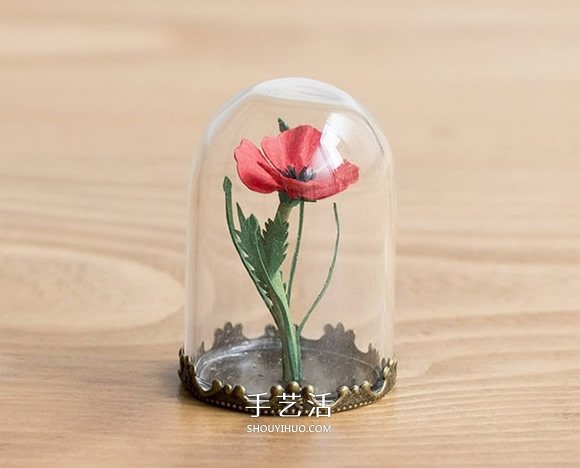 绝对养得活的植物！迷你世界的纸雕玻璃盆栽 -  www.shouyihuo.com