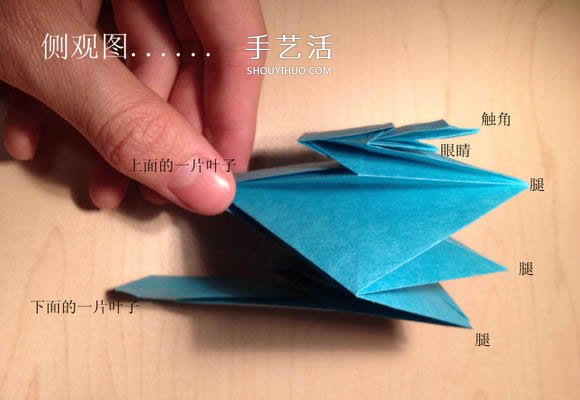 叶虫的折纸方法图解 如何折叶子虫的步骤图 -  www.shouyihuo.com