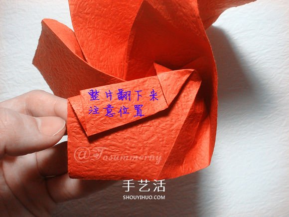 详细欧美玫瑰的折法图解 PT玫瑰怎么折步骤图 -  www.shouyihuo.com