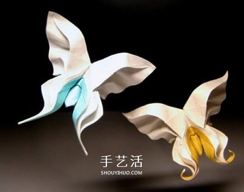 HTQ蝴蝶基本型的折纸方法 木有整形的步骤！ -  www.shouyihuo.com