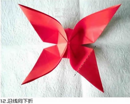 体型最大的蝴蝶 美丽凤尾蝶的折纸方法图解 -  www.shouyihuo.com